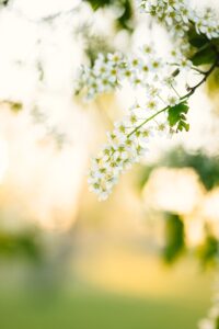 お知らせ記事３