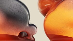 キャンペーン記事２